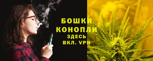 дживик Осташков