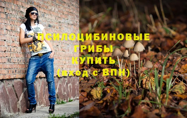apvp Остров