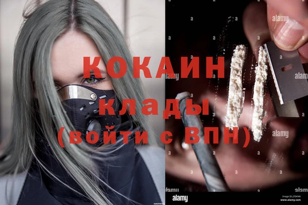 спиды Осинники