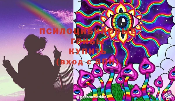 apvp Остров
