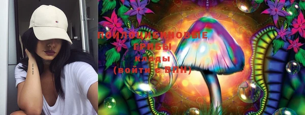 apvp Остров