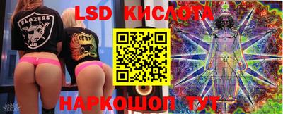 дмт Будённовск