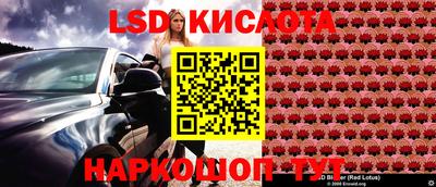 дмт Будённовск