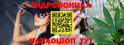 дмт Будённовск
