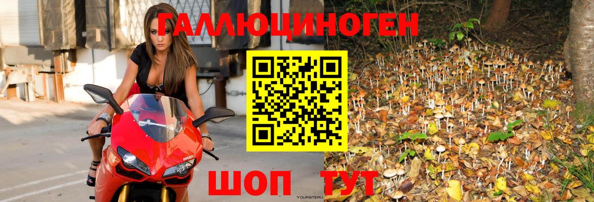 Галлюциногенные грибы прущие грибы  Псилоцибиновые грибы Magic Shrooms  Камышин  Вход с VPN 