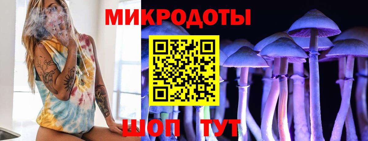 Псилоцибиновые грибы Psilocybe  Камышин  Псилоцибиновые грибы Magic Shrooms 