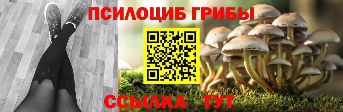МЕФ Камышин
